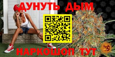 дмт Краснознаменск