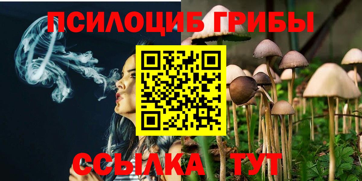 Галлюциногенные грибы MAGIC MUSHROOMS  Псилоцибиновые грибы Magic Shrooms  где продают наркотики  Черногорск  Вход с VPN 