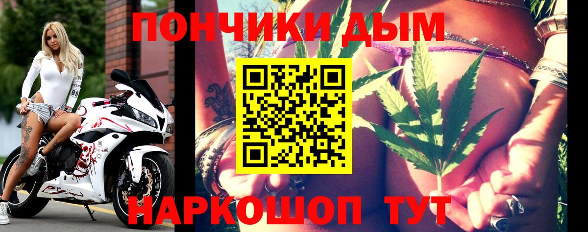 Черногорск  Бошки Шишки план  Бошки марихуана Ganja  Бошки марихуана THC 21%  Вход с VPN 
